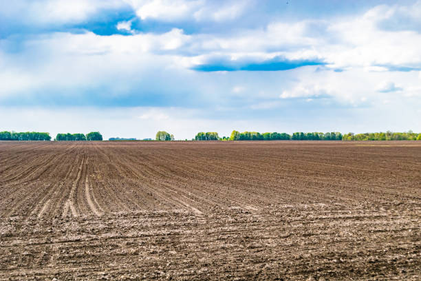 istock Photography on theme big empty farm field for organic harvest 2163178317