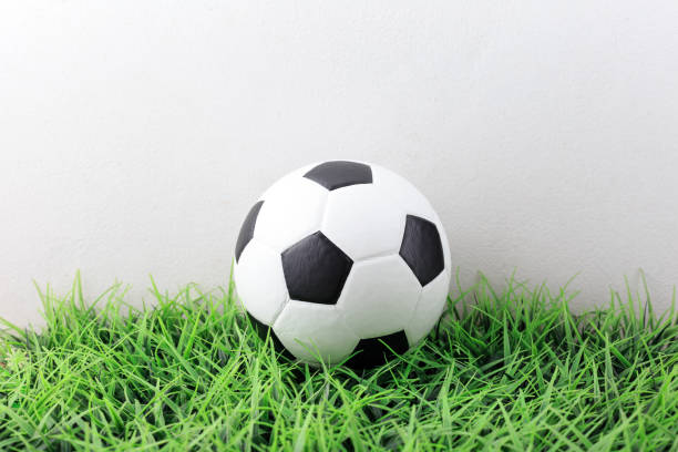 istock soccer ball on green grass 2163179284