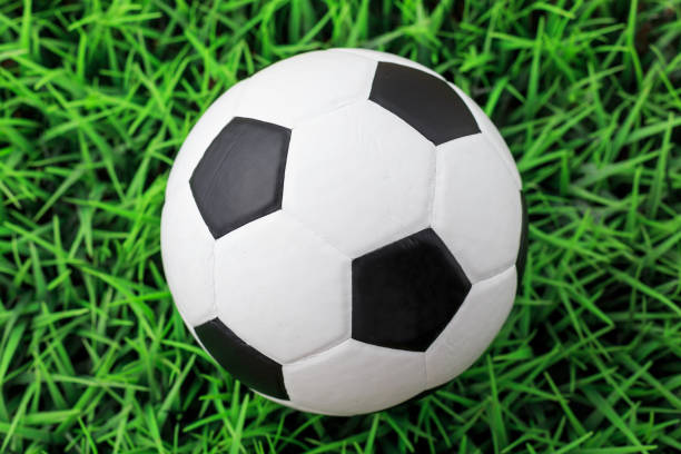 istock soccer ball on green grass 2163179292