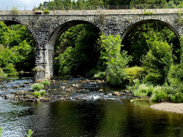 istock Railway walk in Avondale Forest park, Wicklow, Ireland 2163185735