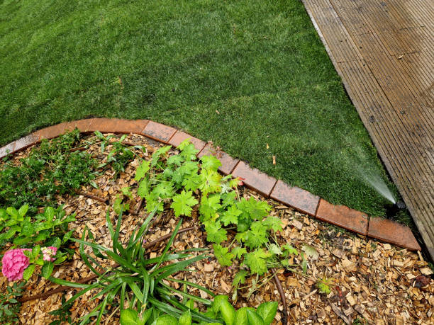 istock watering lawn automatic irrigation with pull-out sprinklers fresh green color black plastic nozzles extend and rotate in a circular rotation water granite cobblestone tiles and curb 2163191473