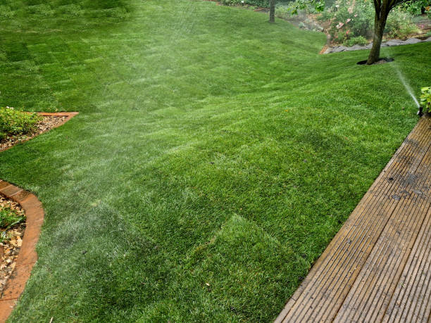 istock watering lawn automatic irrigation with pull-out sprinklers fresh green color black plastic nozzles extend and rotate in a circular rotation water granite cobblestone tiles and curb 2163191478