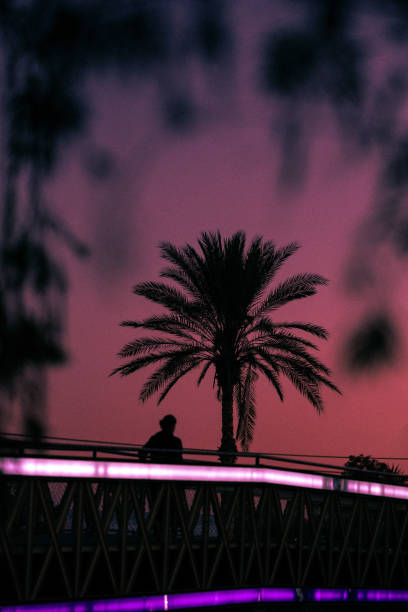 Walker is about to finish her practice. Walking o a bridge. Palm trees. Painted sky