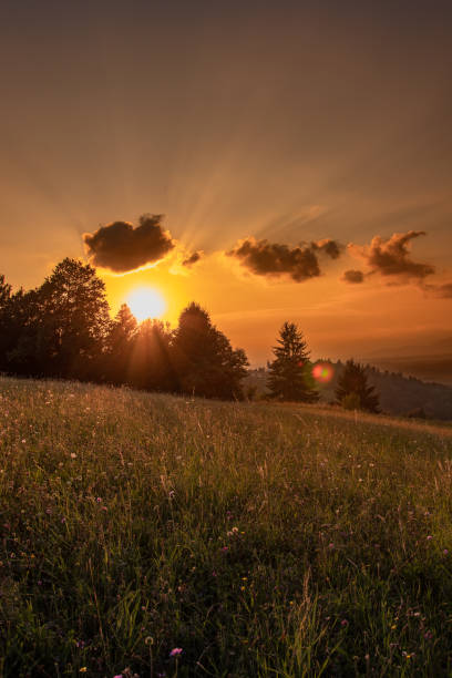 Photo Of Sun Rays During Sunset