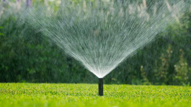 istock Automatic sprinkler watering the green lawn on a sunny day 2163199896