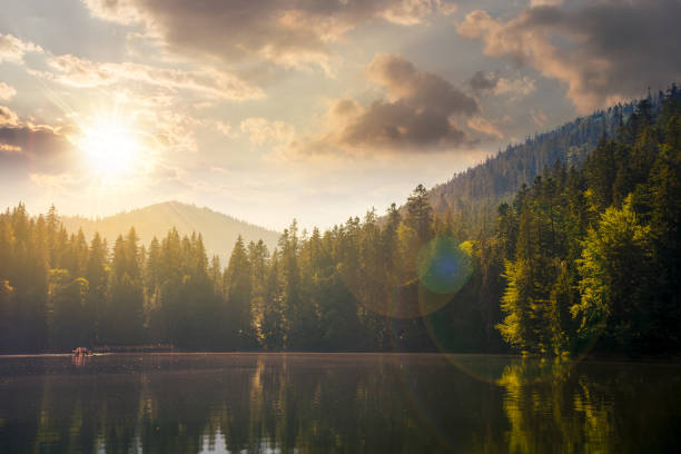 A beautiful sunset over a lake with trees in the background. The water is calm and the sky is a mix of orange and pink hues