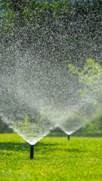 istock Multiple sprinklers watering a green lawn on a sunny day 2163202457