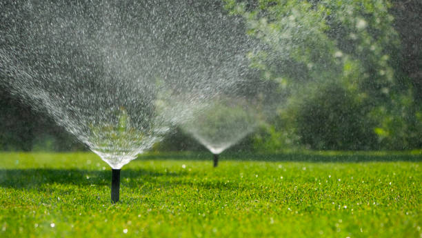 istock Multiple automatic sprinklers watering the lush green lawn on a sunny day 2163202636
