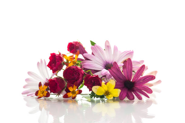 Beautiful Vibrant Pink, yellow spring flower background