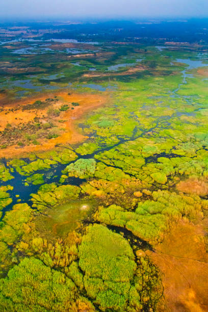 Aerial view, Okavango Wetlands, Okavango Delta, Okavango Grassland, UNESCO World Heritage Site, Ramsar Wetland, Botswana, Africa