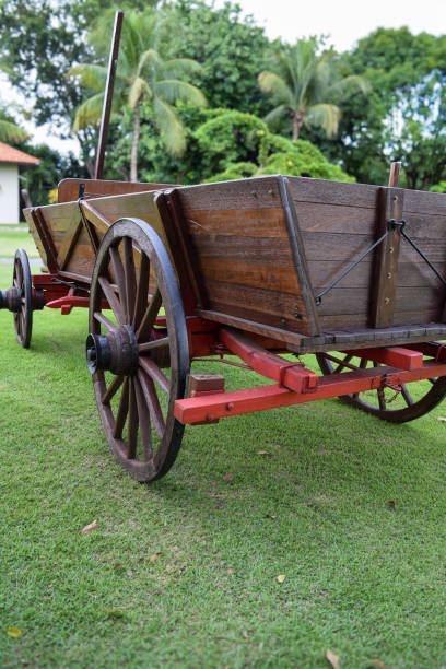 istock Carriage with wooden 2163209905