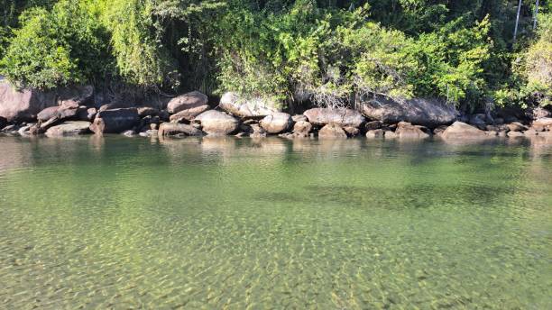 istock Itamambuca river, Ubatuba, Brazil 2163215907