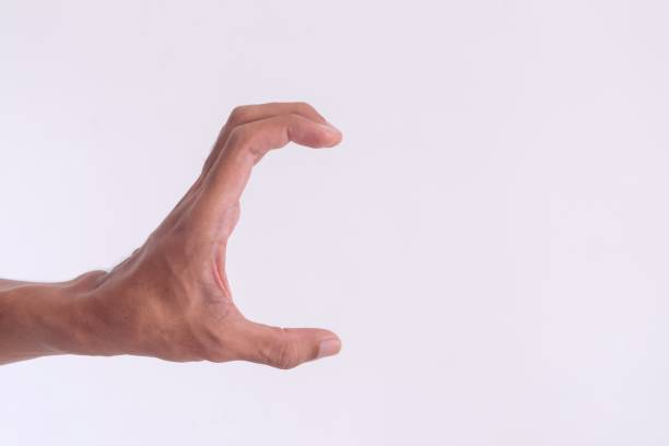 istock A man's hand with a pose or gesture of holding or showing something on a white background 2163220415