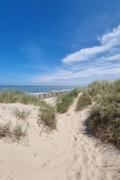 istock Sandy Coastal Pathway with Blue Sky and Ocean View - Tranquil Beach Scene for Summer Vacation Design 2163223237
