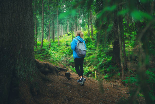 istock Woman in a blue jacket with backpack is walking on a forest trail. Trees with lush green foliage in summer. Slim girl on the path. Hiking and trekking in Dolomites, Italy. Nature. Travel background 2163224207