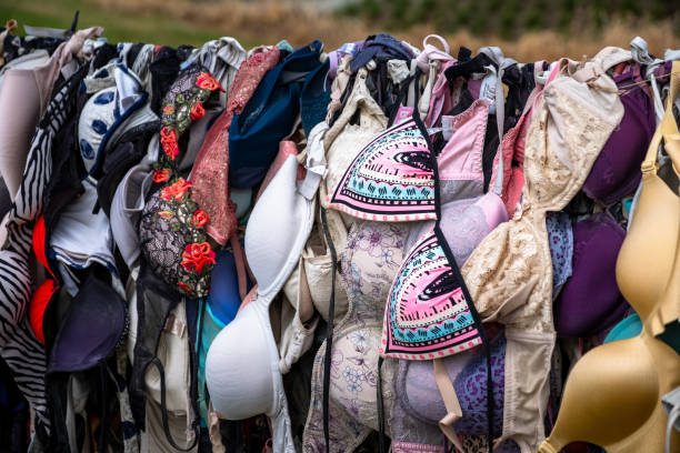 istock Close-Up of Colorful Bra Fence Display 2163224607