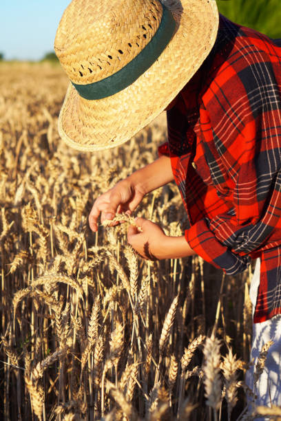 istock preadolescent boy learning to farm in wheat field 2163225605