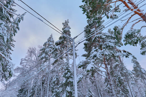 istock Power lines and Pine trees weighed heavy with Hug snow 2163230320