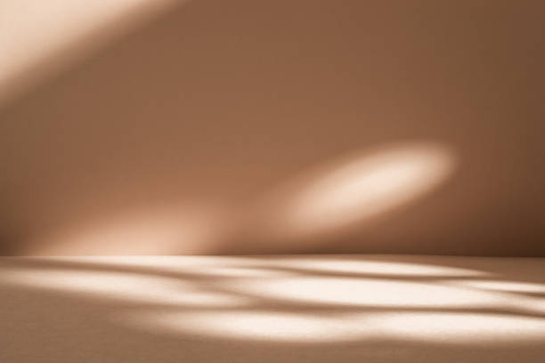 istock Soft Light Casts Shadows on Beige Wall and Floor. Minimalist Background 2163230619