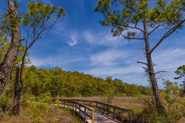 istock North Carolina's Outer Banks, Hatteras Island, USA 2163231882
