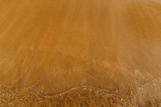 istock sandy beach with waves rolling in, creating a beautiful natural background. beige sand contrasts with ocean waves. concept for perfumes, smells, heat, freshness, coolness and other associations. Ripple sea ocean water surface with small waves. Ocean 2163235665