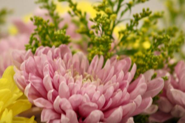 istock Bouquet of Mums 2163239580