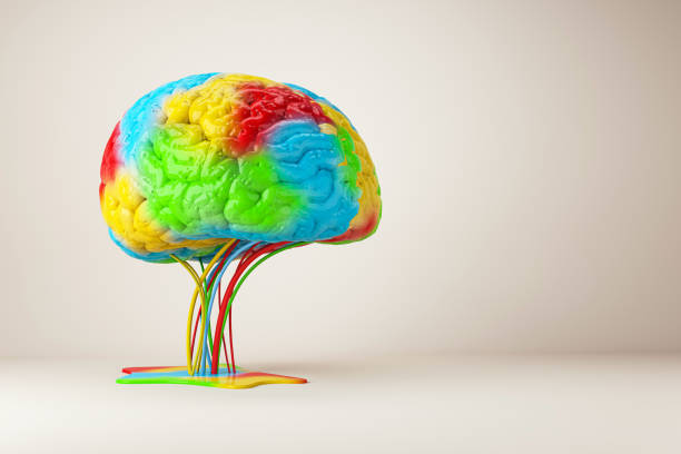 istock Colorful brain model with connected cords on a beige background, creative concept of mind and technology. 3D Rendering 2163240221
