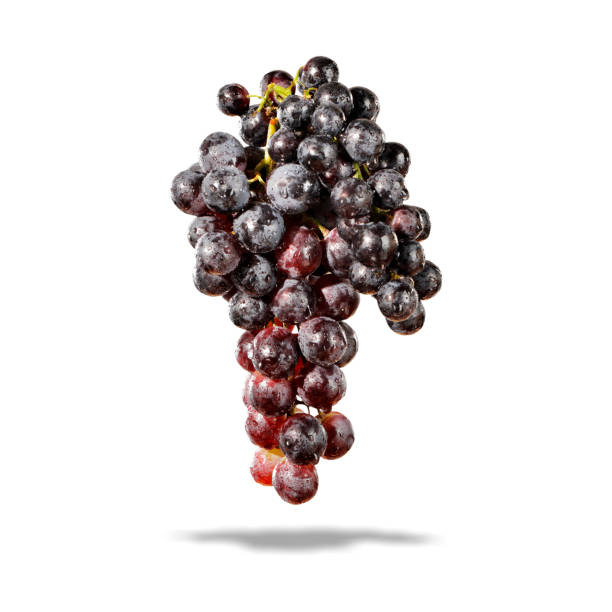 istock Bunch of black grapes on a white background cut out for mounting 2163240953
