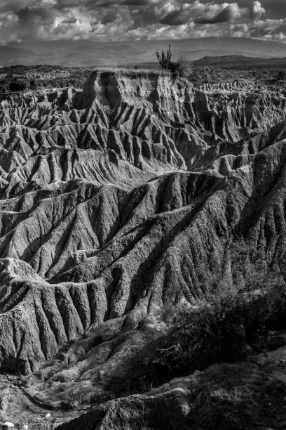 istock La Tatacoa Desert Huila Colombia 2163242242