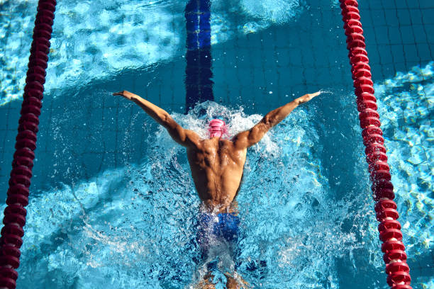 Swimmer, seen from above, powers through water with butterfly stroke, his muscular back glistening under sun as they swim between red lane dividers.