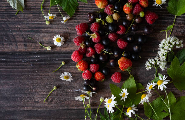 Fresh berries. Red currants, blackberries, blueberries and raspberries in bowls on a large wooden board with mint leaves, strawberries and pomegranate seeds. Background image, top view, vertical