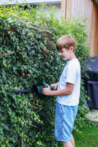 istock boy cutting the tree branches in the home garden 2163246228