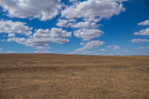 istock Landscapes - Forest - Europe, Romania 2163246701