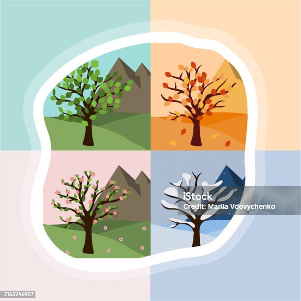 Season Change Spring Four Season Change Vector Illustration Year Concept In Blob Brown Tree ...