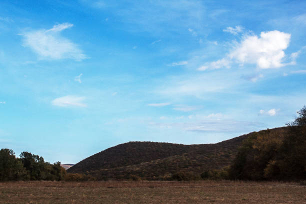 Landscapes - Forest - Europe, Romania