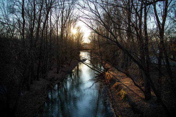 Peaceful forest creek at dusk in late autumn, with bare trees reflecting the beautiful sunset light