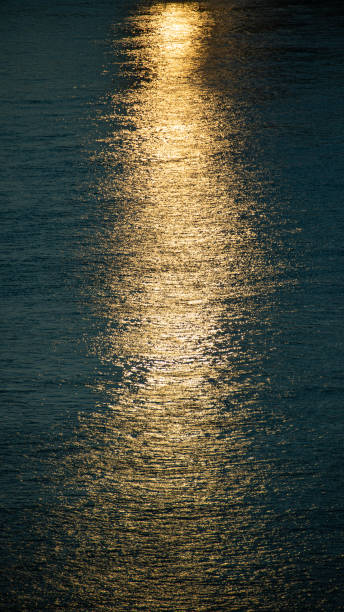 Golden Sunset Reflection on Tranquil Water Surface, creating a peaceful and serene ambiance