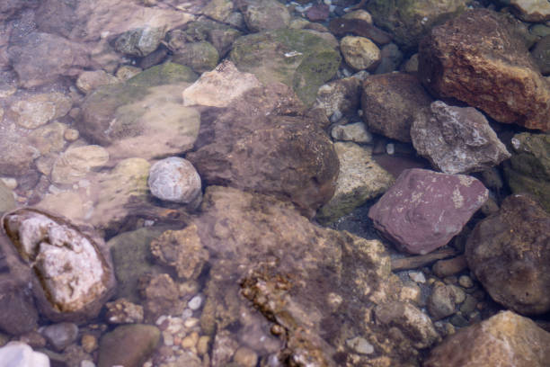 River in mountain