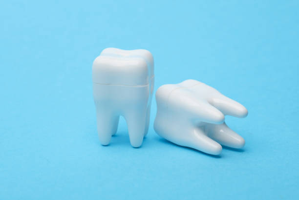 istock Plastic models of teeth on a blue background 2163253425