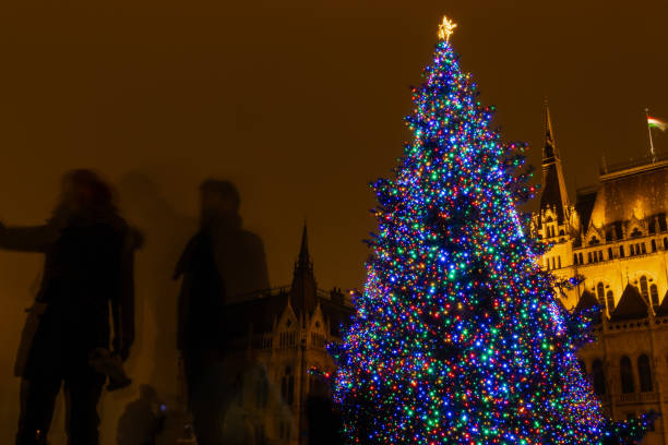 Couple taking a selfie in front of a decorated christmas tree in front of the Parliament building in Budapest, Hungary