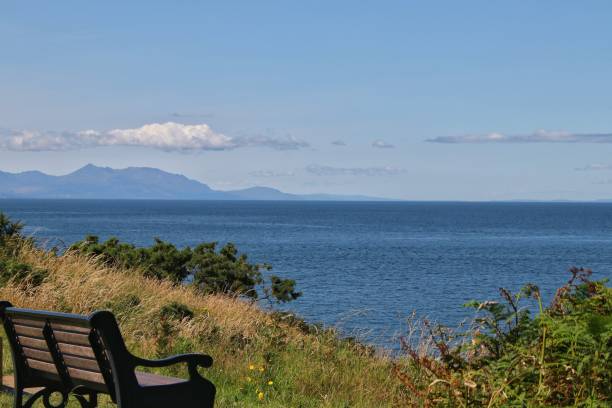 Costal summer.