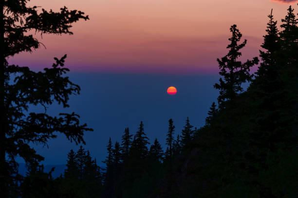 Dramatic Reddish Orange Pink Sun Setting Landscape Scenic - Sun low in sky taking on etherial colors as light is refracted through the atmosphere. High mountain ridge looking through layers of silhouetted trees to sky in distance.