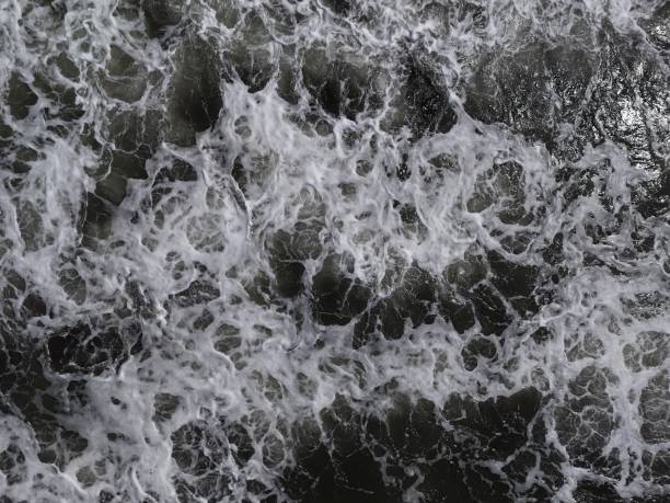Foamy sea waves on the beach. Background. Abstract. abstract background