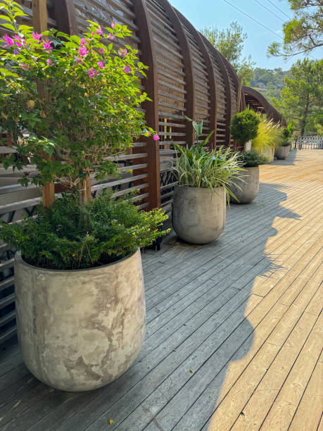 istock grey concrete vases with green plants and flowers 2163289840