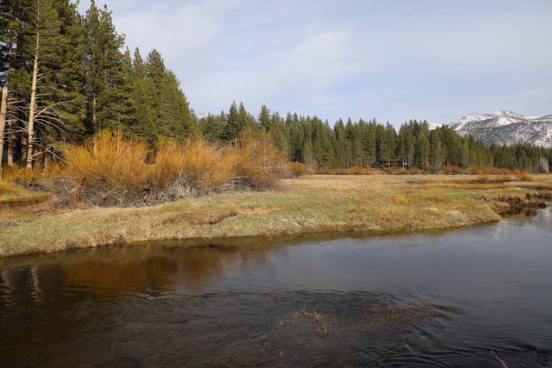 istock Lake Tahoe California 2163290360