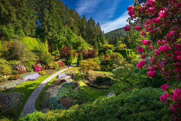 istock Sunken garden at Butchart Gardens 2163292923