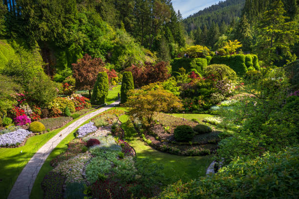 istock Sunken garden at Butchart Gardens 2163292938