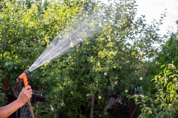 istock watering the garden during the summer 2163300189