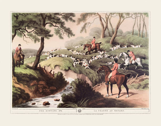 19th-century hunting illustration. Plate from an antique English hunting book depicting  the hunting of various animals. Circa 1807