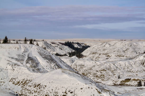istock Horseshoe Canyon 4 2163304999